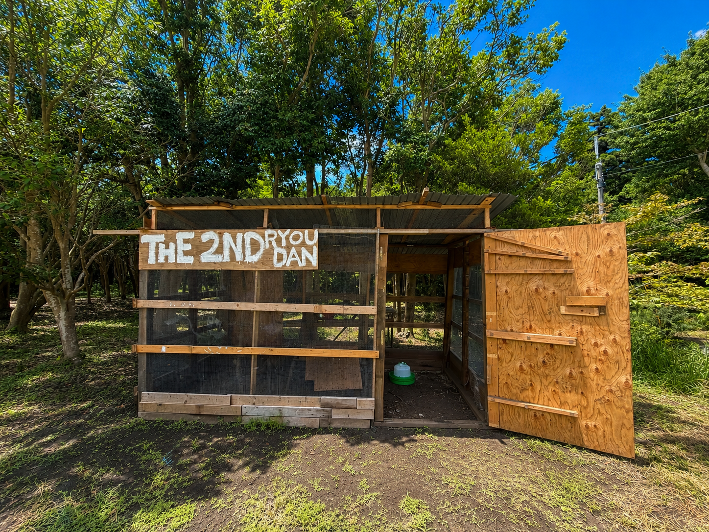 鶏小屋 —— 近くで、触れ合える