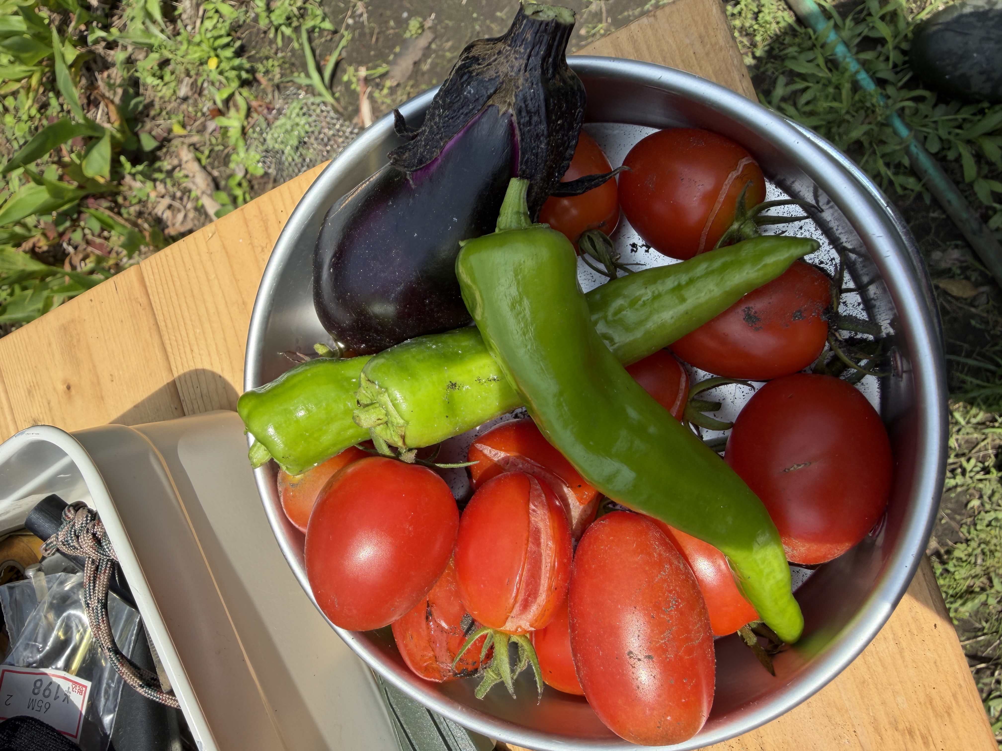 季節の野菜を、収穫する畑